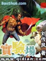实验场