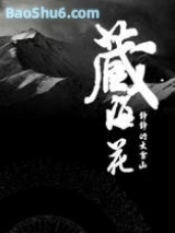 《藏海花（第一部）》全本TXT下载-作者：南派三叔