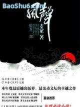 风声