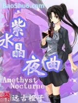 《紫水晶夜曲》全本TXT下载-作者：远古橙子