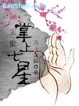 《末世掌上七星》全本TXT下载-作者：月下金狐