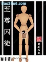 至尊囚徒小说