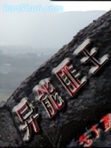 《异能匪王》全本TXT下载-作者：老卜