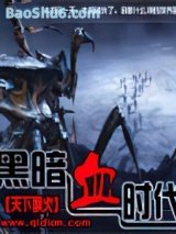 《黑暗血时代》全本TXT下载-作者：天下飘火