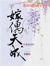 嫁偶天成小说