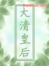 穿到大清做皇后小说