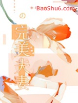 《完美夫妻》全本TXT下载-作者：糖不停