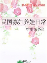 民国寡妇养娃日常图片