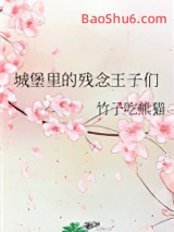城堡里的残念王子们图片