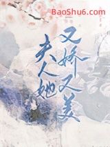 《夫人她又娇又美》全本TXT下载-作者：公子芷柔