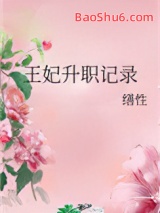 《王妃升职记录》全本TXT下载-作者：缮性