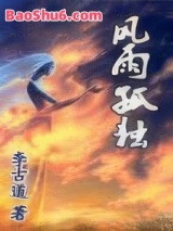 《风雨孤独》全本TXT下载-作者：李古道