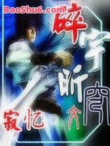 《碎宇昕穹》全本TXT下载-作者：寂忆