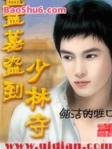 《盗墓盗到少林寺》全本TXT下载-作者：纯洁的牲口