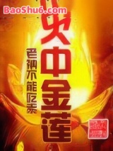 《火中金莲》全本TXT下载-作者：老衲不能吃素