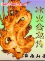 《冰火金龙传》全本TXT下载-作者：薛南山