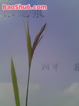 银无痕图片