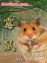 《子鼠之霉鼠》全本TXT下载-作者：小肚肥肠