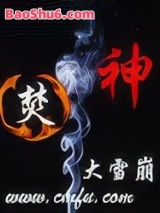 《焚神》全本TXT下载-作者：大雪崩