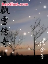 飘雪传奇图片