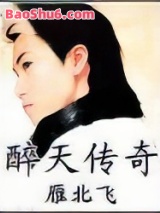 醉天传奇小说