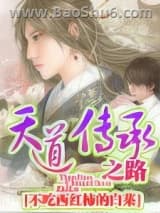 《天道传承之路》全本TXT下载-作者：不吃西红柿的白菜