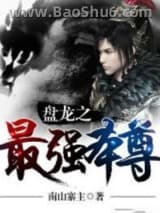 《盘龙之最强本尊》全本TXT下载-作者：南山寨主
