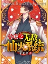 海贼之无敌仙火系统小说