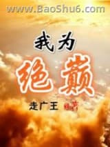我为绝巅小说