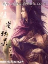 重生是精灵小说