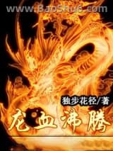 《龙血沸腾》全本TXT下载-作者：独步花径