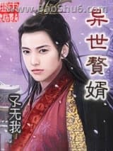 异世赘婿图片