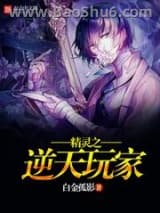 精灵之逆天玩家小说