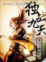 独战九天