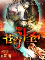 《苍穹斗圣》全本TXT下载-作者：东佴