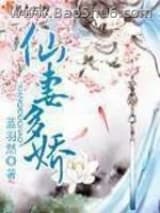 仙妻多娇小说