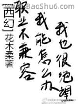 职业不兼容，我能怎么办小说