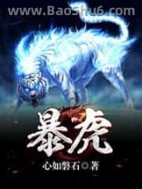 《暴虎》全本TXT下载-作者：心如磐石