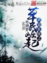 武道系统之草民崛起小说