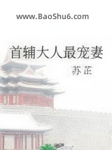《首辅大人最宠妻》全本TXT下载-作者：苏芷