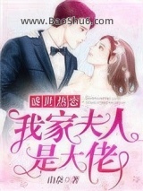 《盛世热恋：我家夫人是大佬》全本TXT下载-作者：山奈