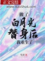 《做了白月光替身后我重生了》全本TXT下载-作者：雪刀