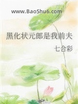 《黑化状元郎是我前夫》全本TXT下载-作者：七合彩