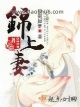 《锦上妻》全本TXT下载-作者：诗雨如梦
