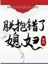 《朕抱错了媳妇》全本TXT下载-作者：希昀