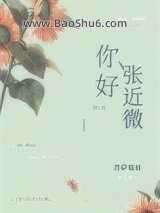 你好，张近微小说