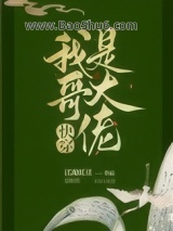 《我哥是大佬[快穿]》全本TXT下载-作者：聿见