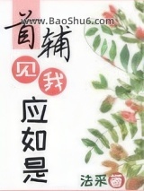 《首辅见我应如是》全本TXT下载-作者：法采