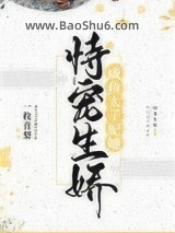 《咸鱼太子妃她恃宠生娇》全本TXT下载-作者：一枚青梨