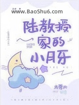 《陆教授家的小月牙》全本TXT下载-作者：本萝北